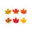 T10836 Accent Fall Maple Leaves