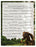 Secret Garden Sasquatch Silly Story Free Printable