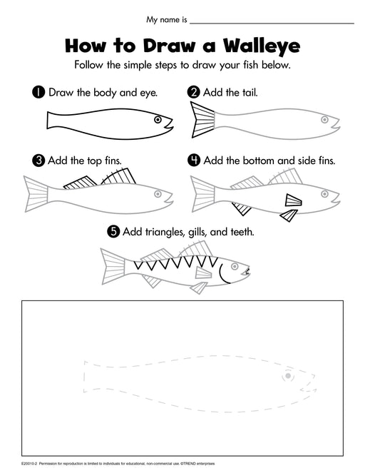 How to Draw a Walleye Free Printable