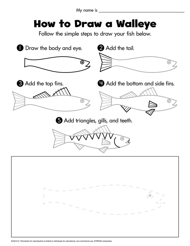 How to Draw a Walleye Free Printable