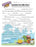 Camping Fun Silly Story Free Printable