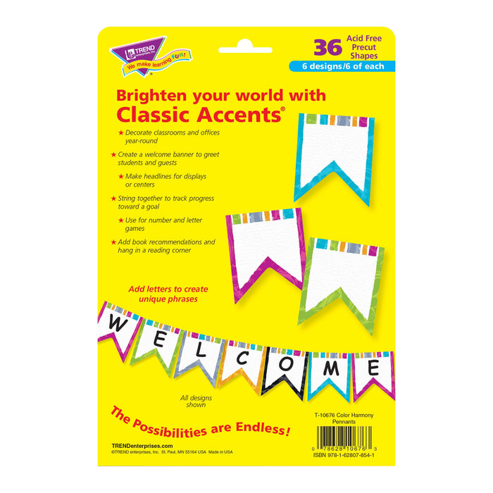 T10676 Accent Harmony Pennants Package Back