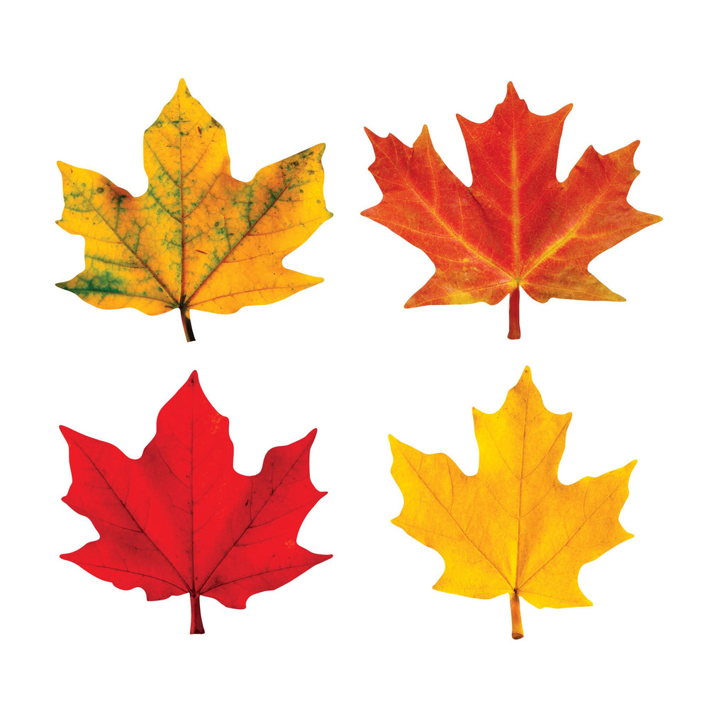 T10836 Accent Fall Maple Leaves