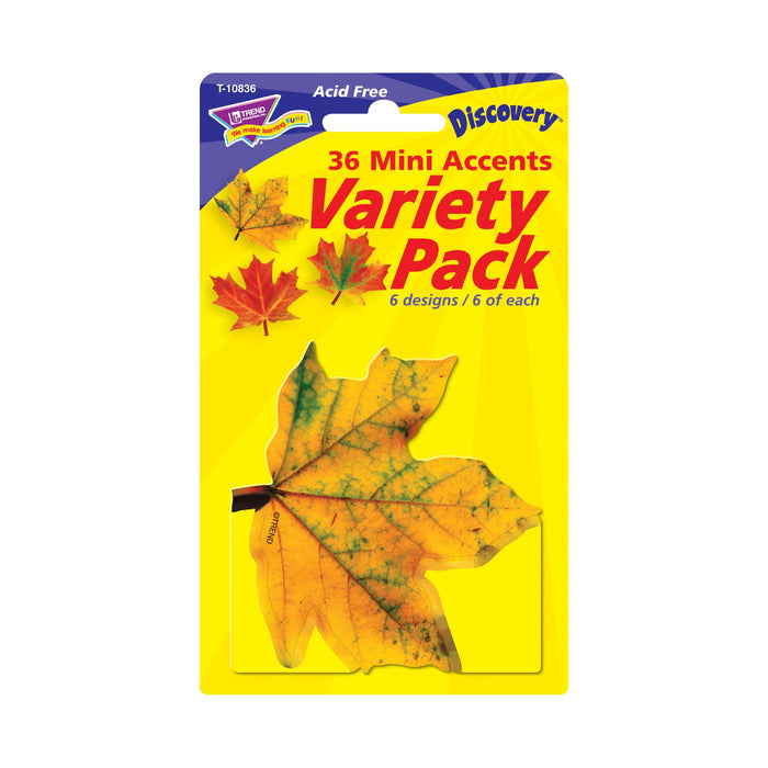 T10836 Accent Fall Maple Leaves Package Front