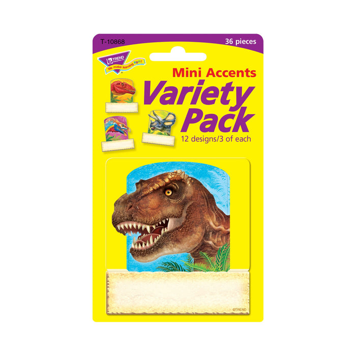 T10868 Accent Dinosaur Package Front