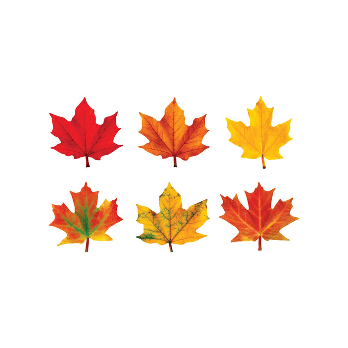 T10958 Accent Fall Maple Leaves