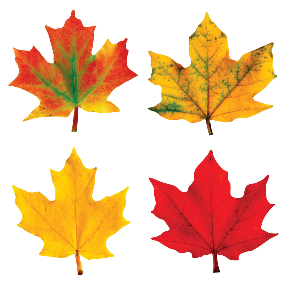T10958 Accent Fall Maple Leaves