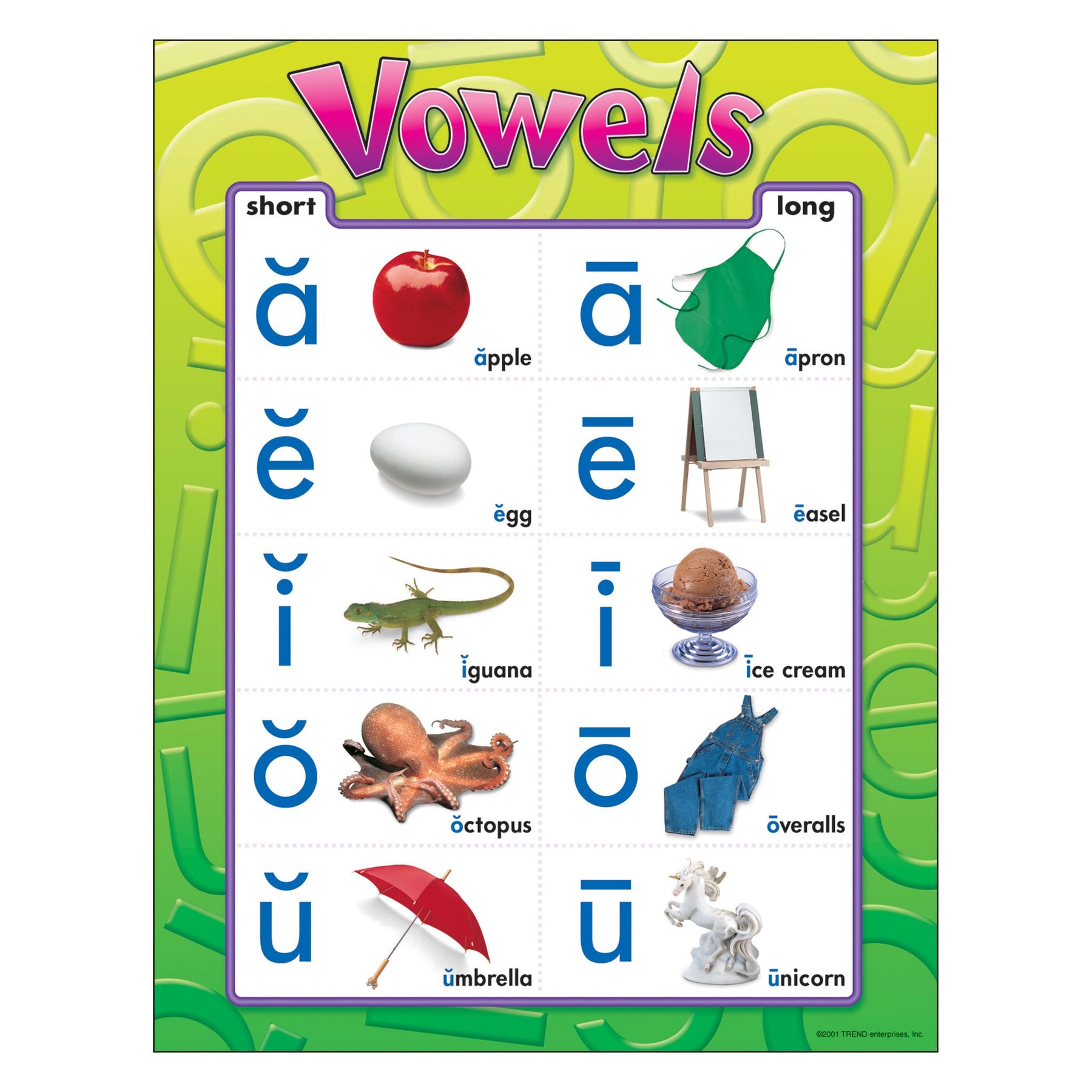 Long and Short Vowel Sound Cups - Early Education Zone