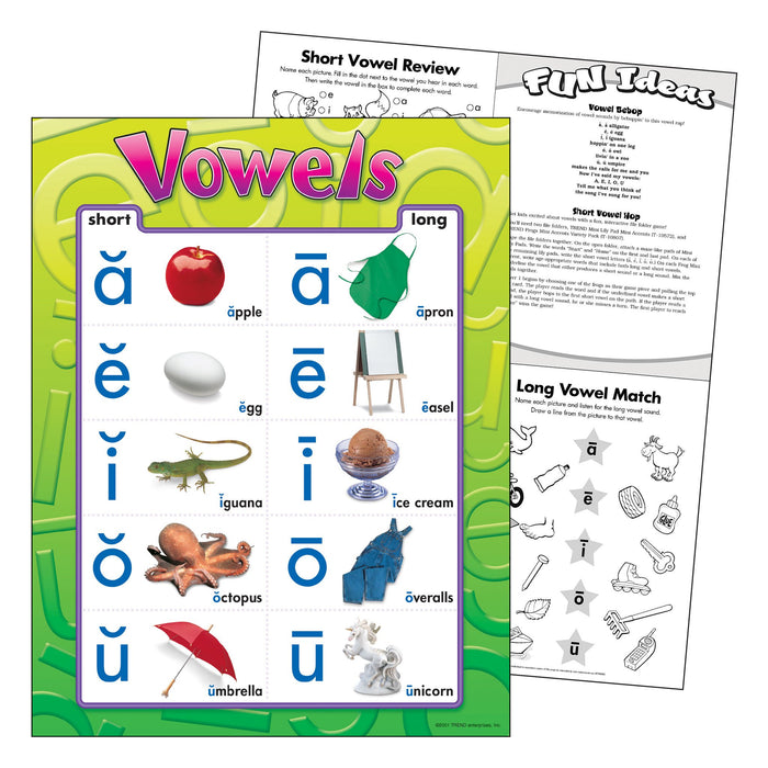 T38032 Learning Chart Vowels