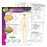 T38089 Learning Chart Human Body System Nervous