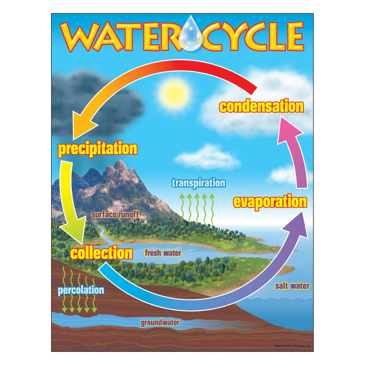 Learning Chart The Water Cycle T38119 — TREND enterprises
