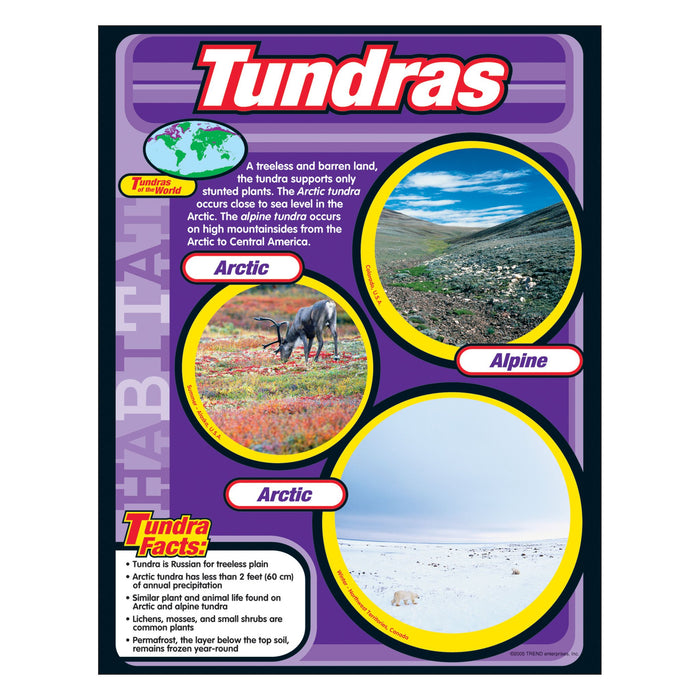 T38149 Learning Chart Tundra Habitat