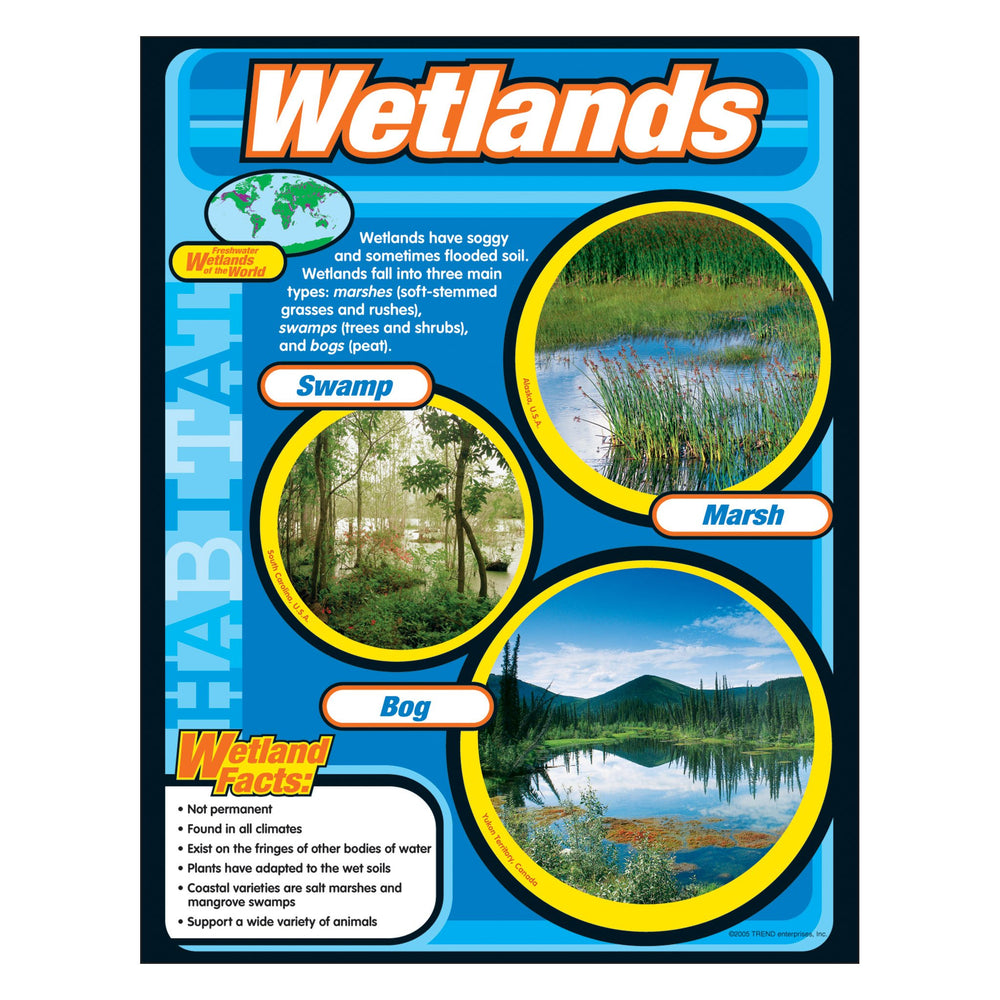 T38150 Learning Chart Wetlands Habitat