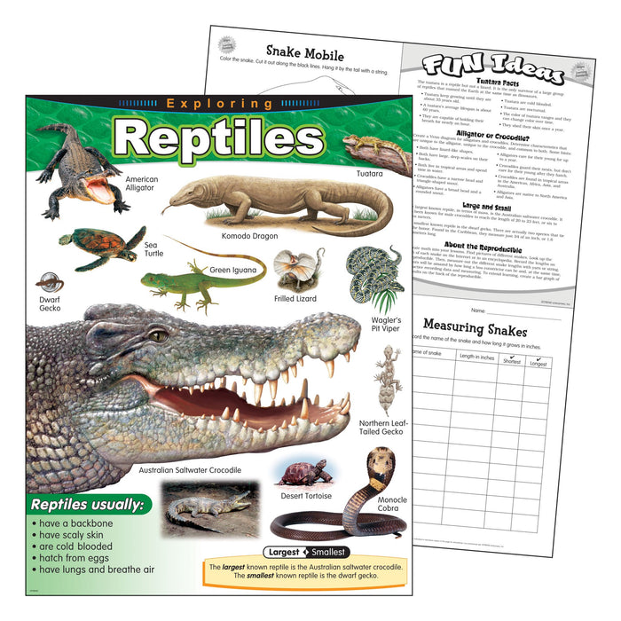 T38181 Learning Chart Exploring Reptiles