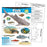 T38183 Learning Chart Exploring Fish