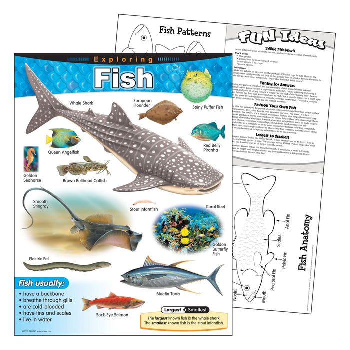 T38183 Learning Chart Exploring Fish