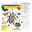 T38184 Learning Chart Exploring Insects