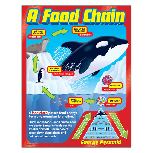 T38186 Learning Chart Food Chain