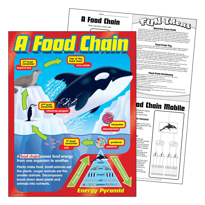 T38186 Learning Chart Food Chain