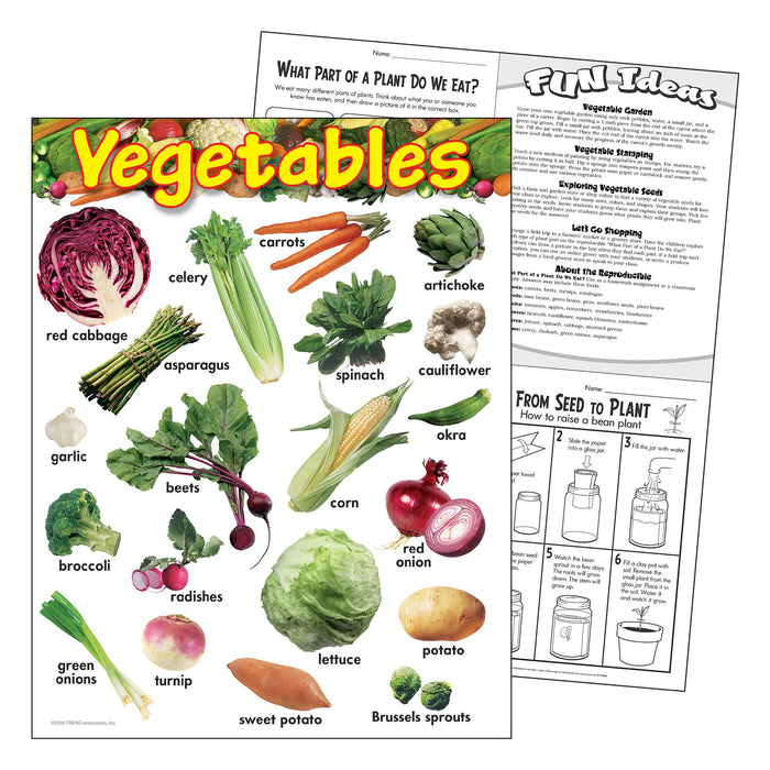 T38248 Learning Chart Vegetables