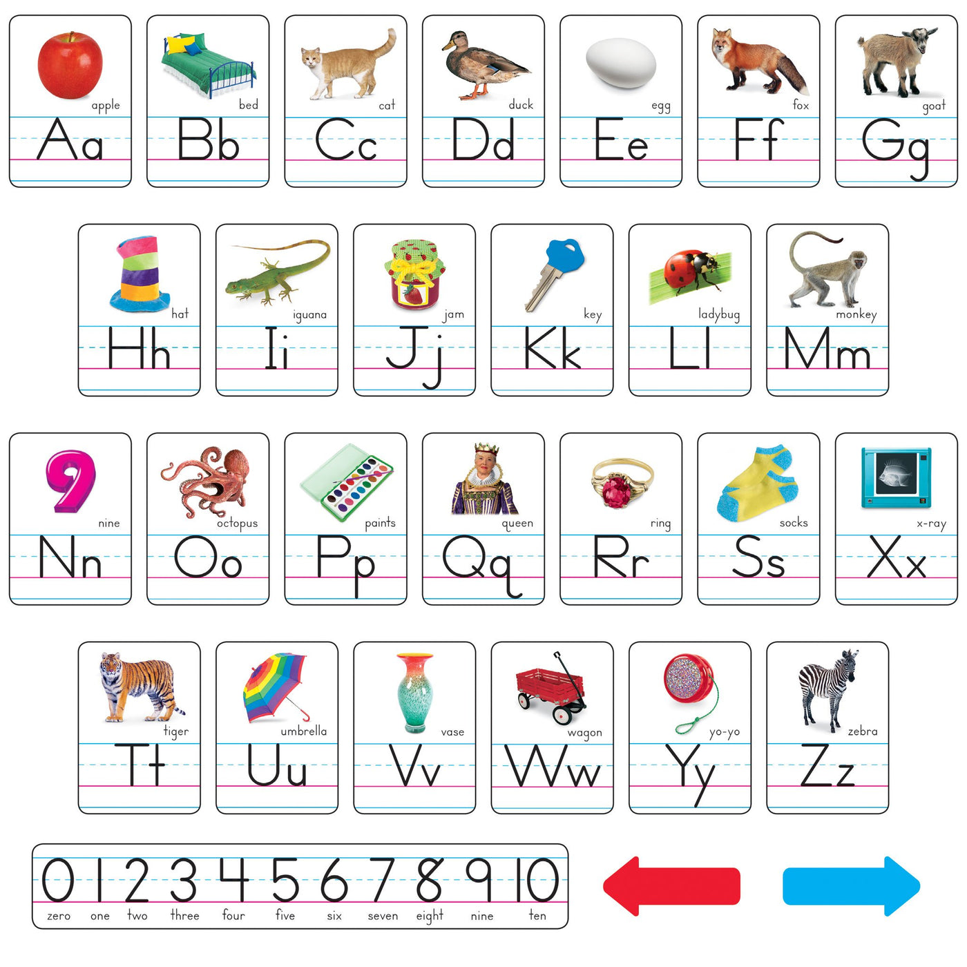 Bulletin Board Set Photo Alphabet Cards ZanerBloser Manuscript T721