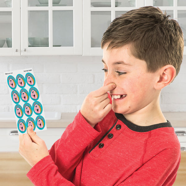 T83609-3-Scratch-n-Sniff-Stinky-Stickers-Retro-Ham